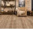 SPC ламинат Alpine Floor Grand Sequoia КАРИТЕ ECO 11-9